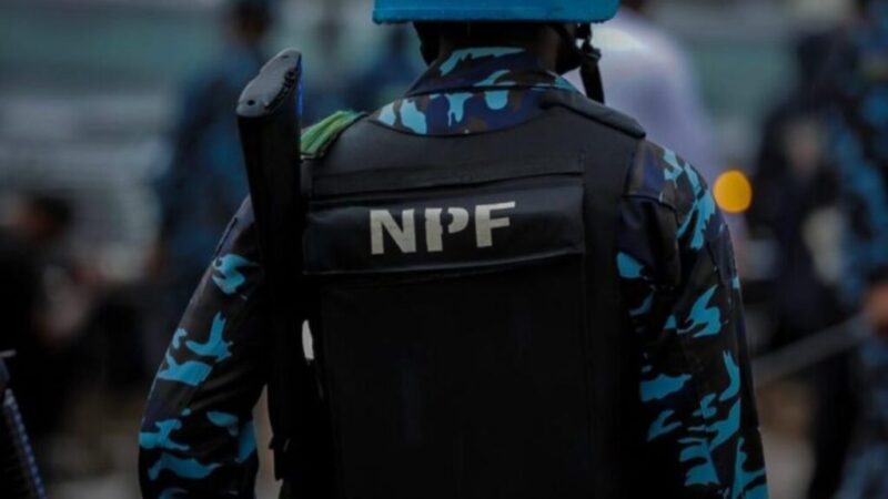 Nigerian-Police-assures-Nigerians-of-peaceful-protest-1024x576