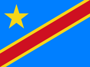 Flag_of_the_Democratic_Republic_of_the_Congo.svg (1)