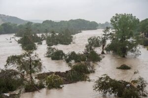 images (8)