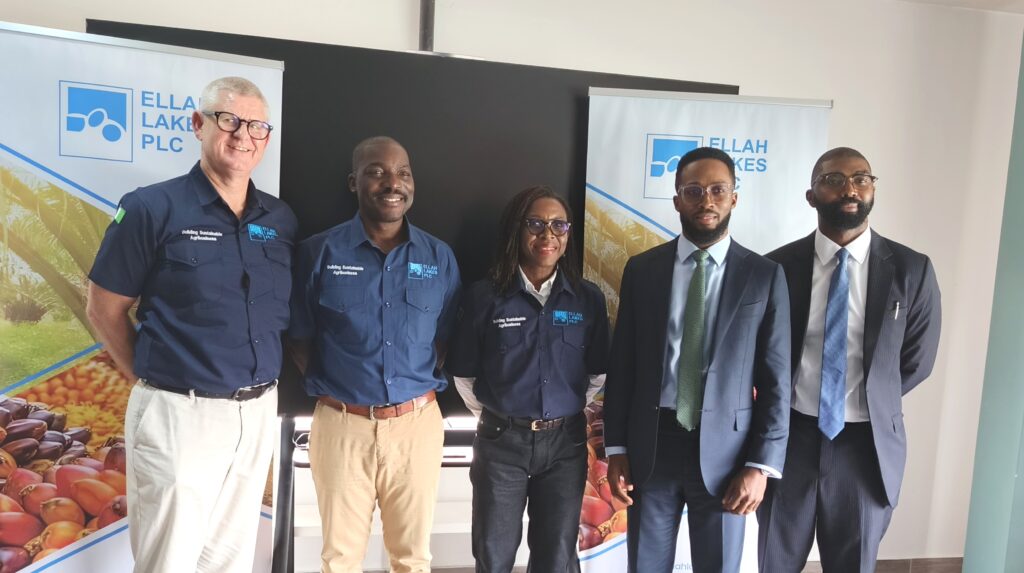 0-3968x2976-0-0-{}-0-12#