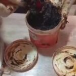 Screenshot_20251214_195845