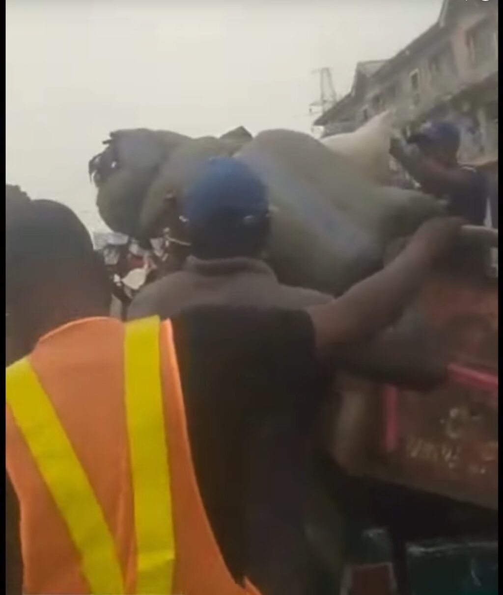 Screenshot_20251216_201814