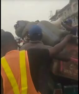 Screenshot_20251216_201814