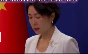 Video: “Don’t use other countries as excuse for own interests,” China tells US