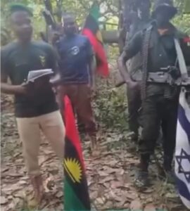 Screenshot_20260208_174650