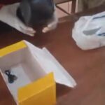 Screenshot_20260208_181331