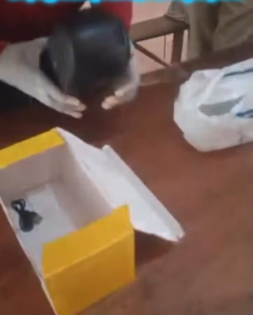 Screenshot_20260208_181331