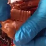 Video: NDLEA Intercepts cocaine hidden in clothing carton bound for Australia