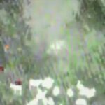 Screenshot_20260619_224918