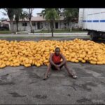 Troops intercept truck carrying large drug consignment on Lagos–Calabar Coastal Road